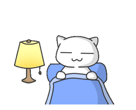 bonne nuit chat